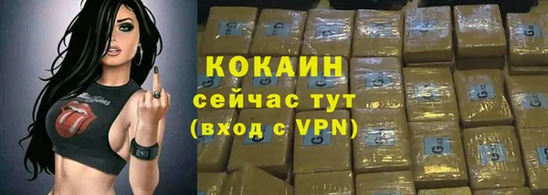 PSILOCYBIN Белокуриха