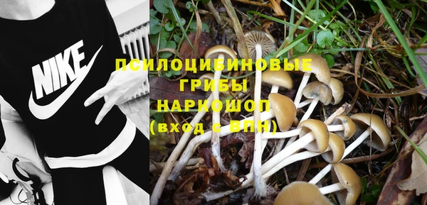 PSILOCYBIN Богородск