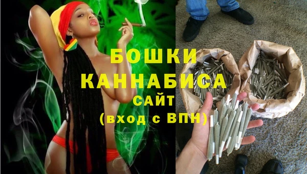 PSILOCYBIN Белокуриха