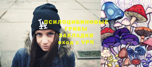 PSILOCYBIN Богородск