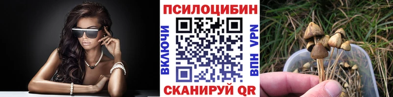 Купить закладки Боровск Галлюциногенные грибы GOLDEN TEACHER